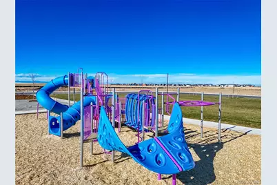 46573 Sunflower Lane, Bennett, CO 80102 - Photo 36