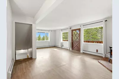 286 Texas Drive, Idaho Springs, CO 80452 - Photo 6