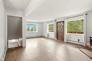 286 Texas Dr, Idaho Springs, CO 80452 - Photo 6