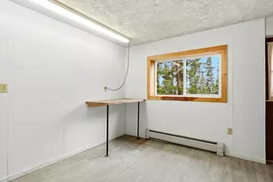 286 Texas Dr, Idaho Springs, CO 80452 - Photo 24