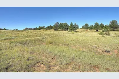 1106 Hull Ave, Westcliffe, CO 81252 - Photo 28