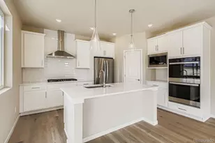 13767 Daffodil Way, Parker, CO 80134 - Photo 10