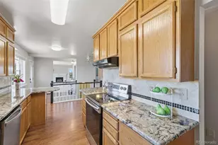 42593 London Dr, Parker, CO 80138 - Photo 12