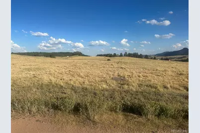 290 Castle Mountain Drive, Florissant, CO 80816 - Photo 20