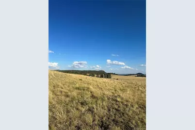 290 Castle Mountain Drive, Florissant, CO 80816 - Photo 4