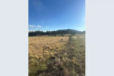 290 Castle Mountain Drive, Florissant, CO 80816 - Photo 18