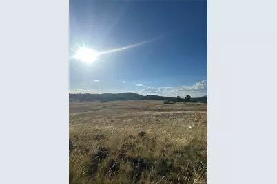290 Castle Mountain Drive, Florissant, CO 80816 - Photo 1