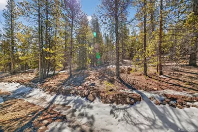 312 Mt Massive Road, Twin Lakes, CO 81251 - Photo 2
