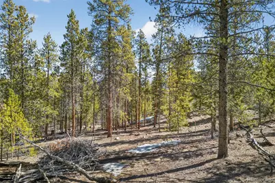 312 Mt Massive Road, Twin Lakes, CO 81251 - Photo 24