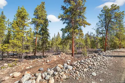 312 Mt Massive Road, Twin Lakes, CO 81251 - Photo 8