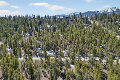 312 Mt Massive Road, Twin Lakes, CO 81251 - Photo 22