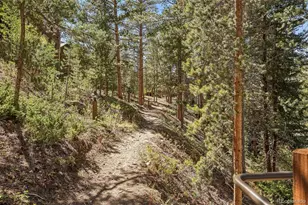 0139 Lake Ridge Cir, Keystone, CO 80435 - Photo 28