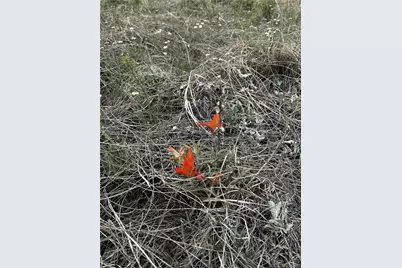 Lot 142 Fort Gerry Drive, Colorado City, CO 81019 - Photo 14