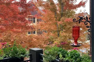 457 S Reed, Lakewood, CO 80226 - Photo 28