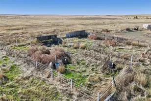 45595 Cottonwood Lane, Deer Trail, CO 80105 - Photo 38