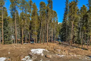 154 Lakeside Dr, Fairplay, CO 80440 - Photo 24