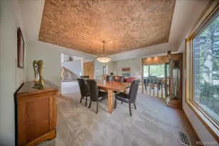 28 S McIntyre Way, Golden, CO 80401 - Photo 10