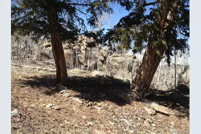 1681 Athapascan Road, Hartsel, CO 80449 - Photo 4