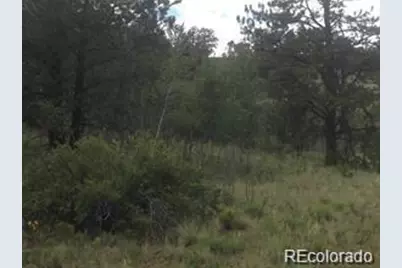 1681 Athapascan Road, Hartsel, CO 80449 - Photo 1