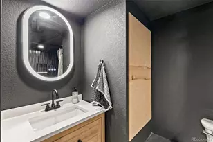 3885 Red Valley Cir, Castle Rock, CO 80104 - Photo 34