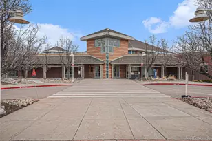 9855 Spring Hill St, Highlands Ranch, CO 80129 - Photo 50