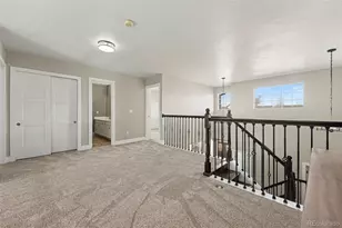 9855 Spring Hill St, Highlands Ranch, CO 80129 - Photo 24