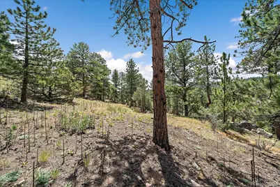168 Juniper Lane, Bailey, CO 80421 - Photo 28