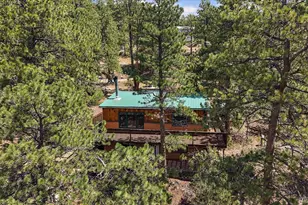 168 Juniper Ln, Bailey, CO 80421 - Photo 18