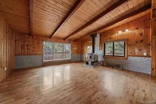 168 Juniper Ln, Bailey, CO 80421 - Photo 4