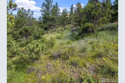 1445 Ridge Road, Nederland, CO 80466 - Photo 12