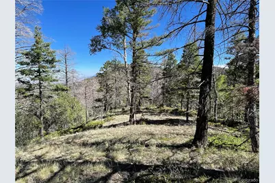 6168 Hoadley Road, Fort Garland, CO 81133 - Photo 14