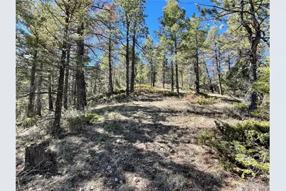 6168 Hoadley Road, Fort Garland, CO 81133 - Photo 8