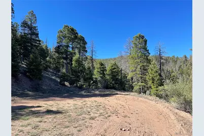 6168 Hoadley Road, Fort Garland, CO 81133 - Photo 4