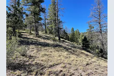 6168 Hoadley Road, Fort Garland, CO 81133 - Photo 12