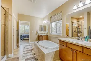 4237 Manorbrier Ct, Castle Rock, CO 80104 - Photo 20