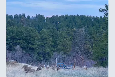 488 Wrangler Road, Castle Rock, CO 80108 - Photo 2