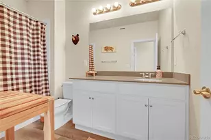 18059 French Creek Ave, Parker, CO 80134 - Photo 18