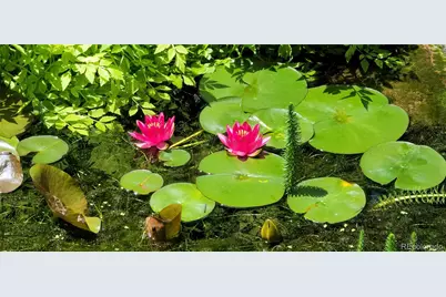 1277 Forest Trails Drive, Castle Pines, CO 80108 - Photo 48