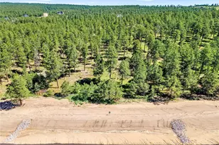 14310 Allen Ranch Rd, Colorado Springs, CO 80908 - Photo 1
