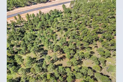 14310 Allen Ranch Road, Colorado Springs, CO 80908 - Photo 8