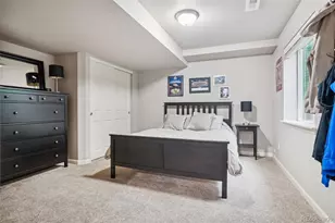 1993 Mountain Maple Ave, Highlands Ranch, CO 80129 - Photo 34