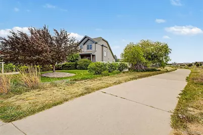 652 Sundance Drive, Windsor, CO 80550 - Photo 6