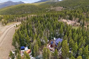 1419 Little Bear Creek Rd, Idaho Springs, CO 80452 - Photo 24