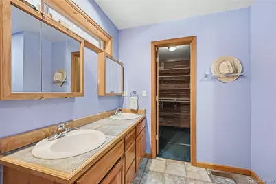 1419 Little Bear Creek Road, Idaho Springs, CO 80452 - Photo 16