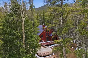 1419 Little Bear Creek Rd, Idaho Springs, CO 80452 - Photo 8