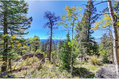 11723 Braun Way, Conifer, CO 80433 - Photo 2