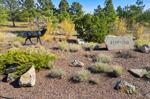 4637 Palmer Ridge Dr, Parker, CO 80134 - Photo 42