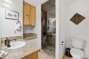 1701 Cutty Sark Ct, Silverthorne, CO 80498 - Photo 30