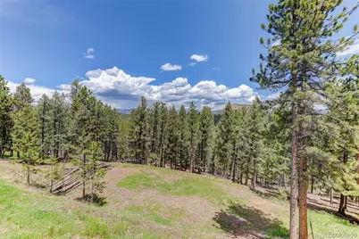 539 S Random Road, Bailey, CO 80421 - Photo 38