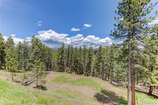 539 S Random Rd, Bailey, CO 80421 - Photo 38